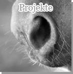 Projekte