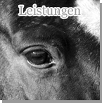 Leistungen