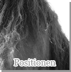 Positionen